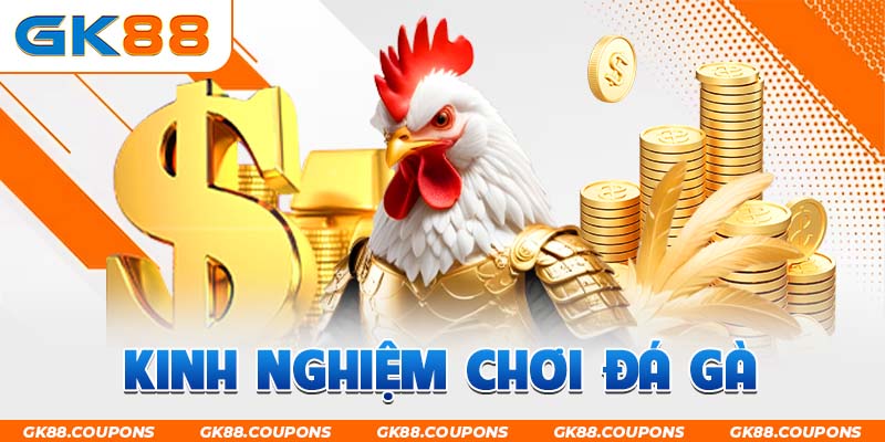 Kinh Nghiệm Chơi Đá Gà – Top 6 Phương Pháp Chắc Thắng